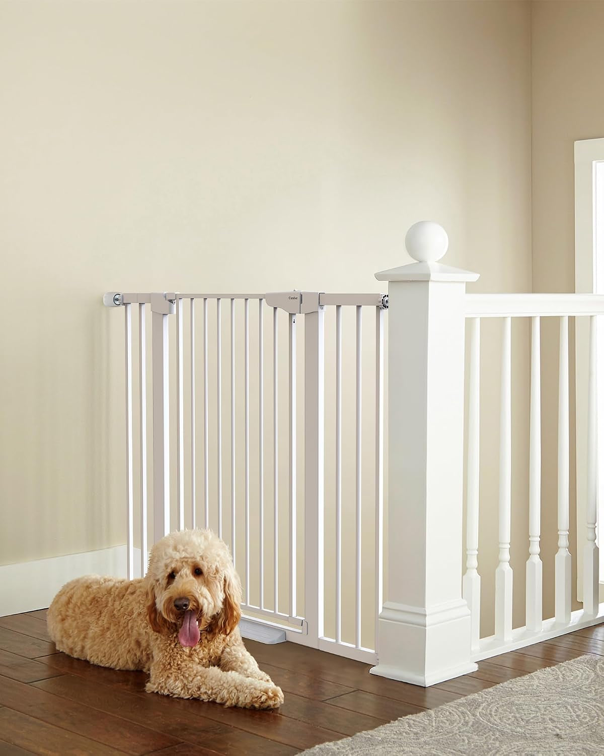 White gate mounted at the top of a staircase with a fluffy dog lying on the floor nearby.