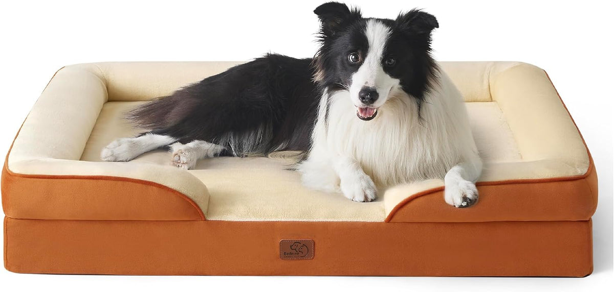 Orange base bed with cream interior shown at a slight angle and a black-and-white border collie resting