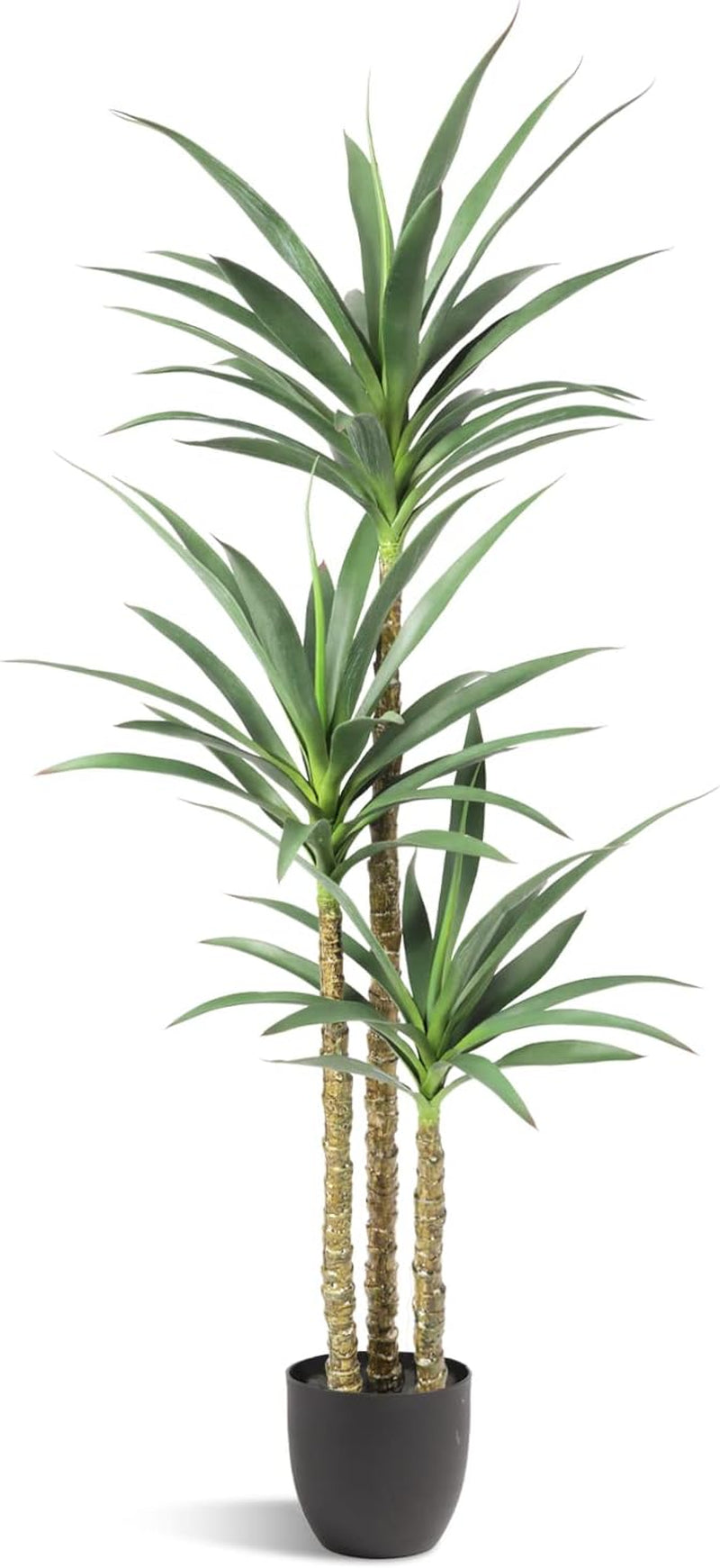 Artificial agave tree with three trunks and green polyester leaves in a black pot, front view on white background