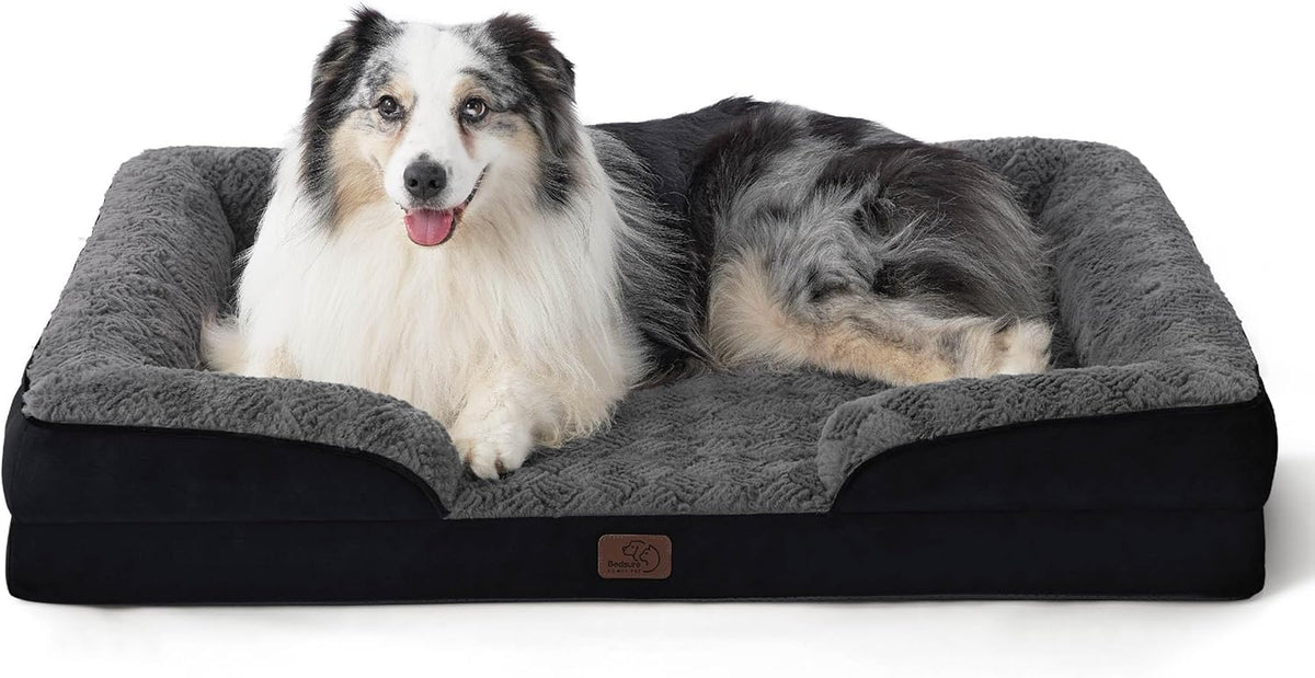Large black-and-white dog curled up on a black dog bed with a textured gray sleeping surface