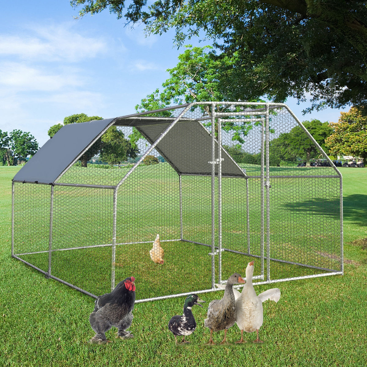 9.5 x 12.5 Feet Large Walk in Chicken Coop Run House