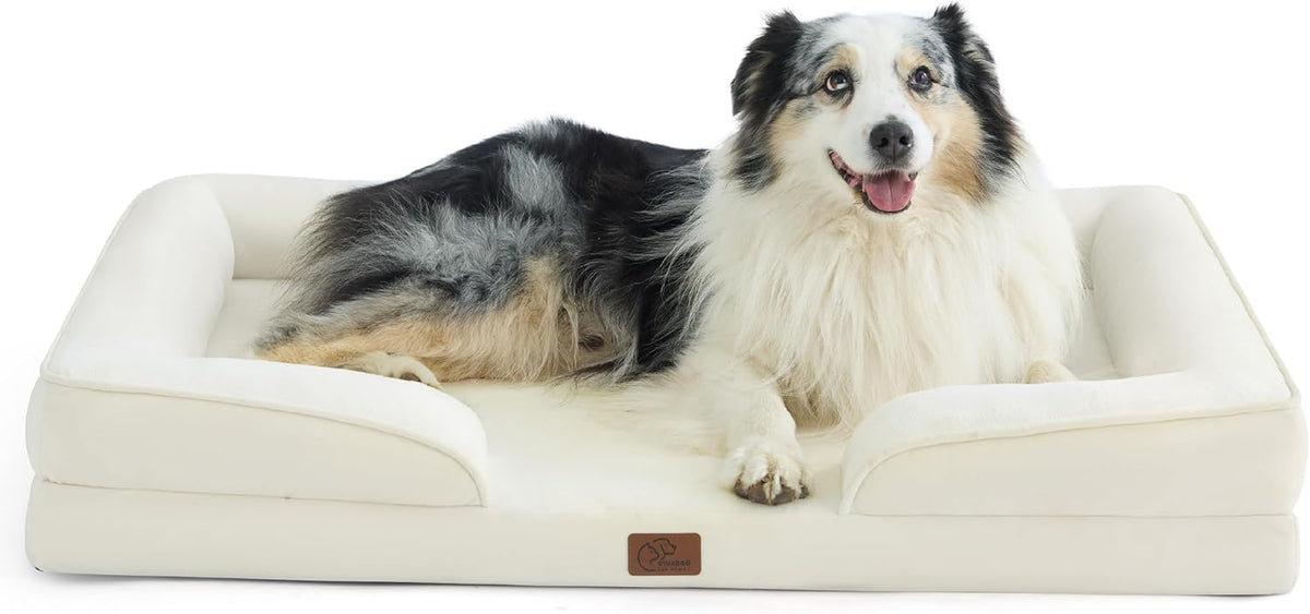 Large fluffy tricolor dog reclining in a cream rectangular bolstered dog bed on a white background.