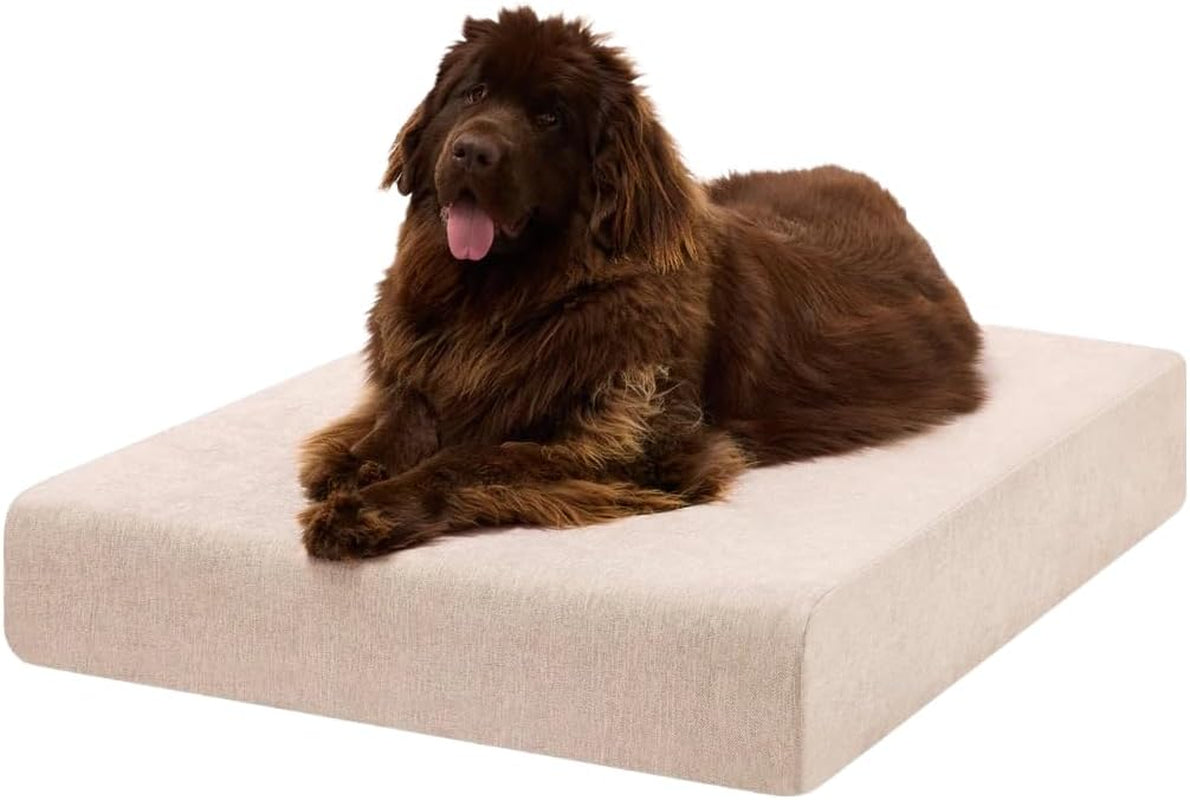 Large brown dog lying on a rectangular beige dog bed shown from front-right angle.