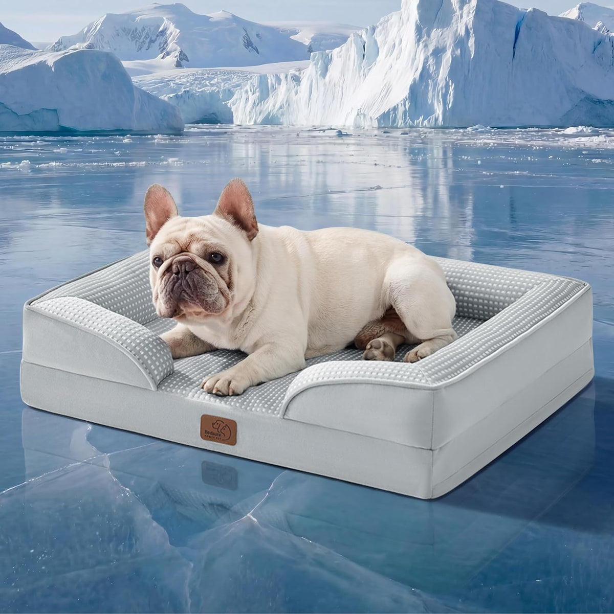 Cream French bulldog lounging on a light-gray bolstered bed set against an icy glacier background.