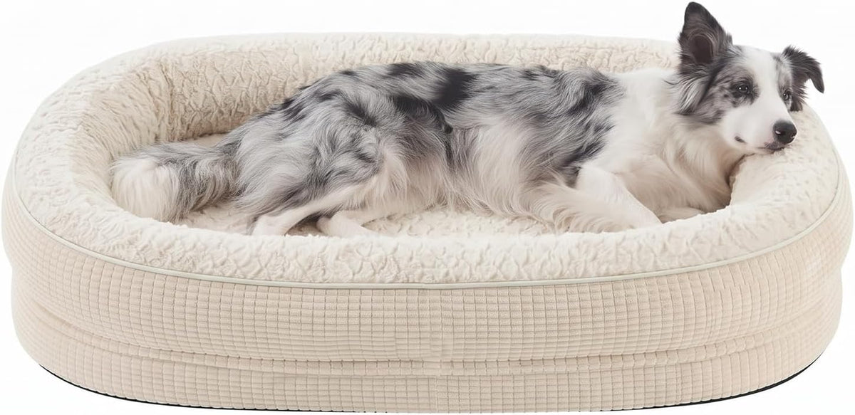 Oval cream dog bed with raised bolster and a long-haired dog resting inside