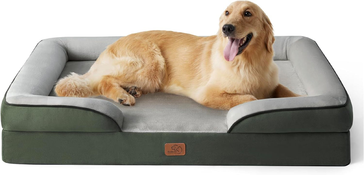 Golden retriever lying on rectangular green-and-light-gray bolstered dog bed with front cutout.