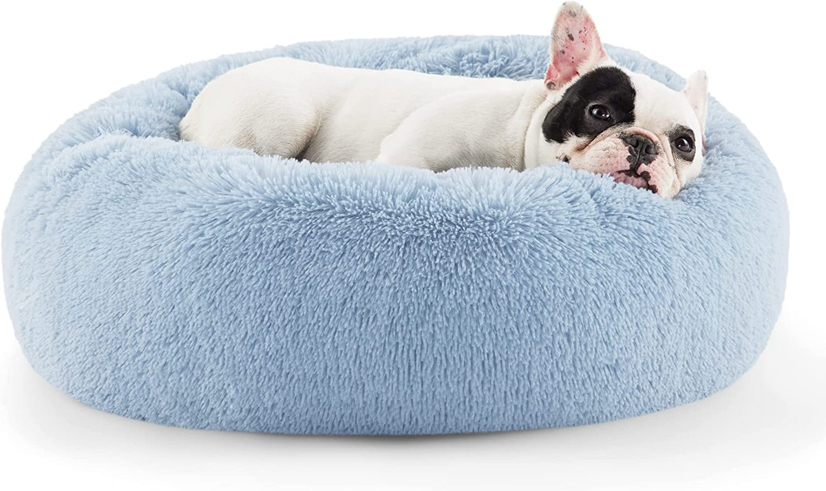 Front view of a light blue round faux-fur donut pet bed with a small white-and-black dog resting inside.