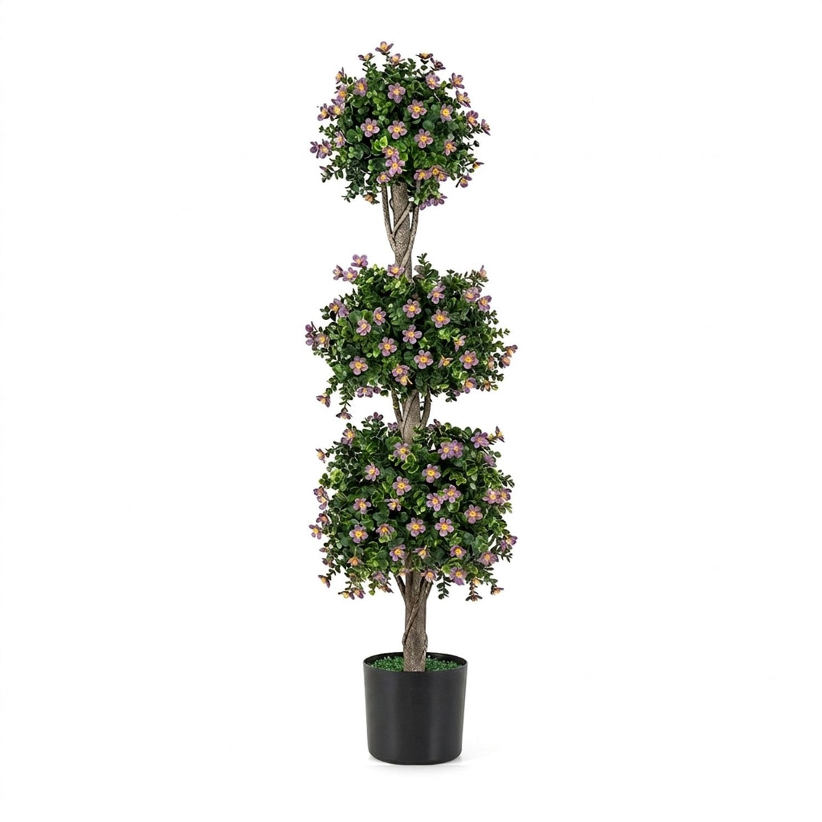 Three rounded clusters of green leaves and purple flowers on a branching trunk in a black pot.