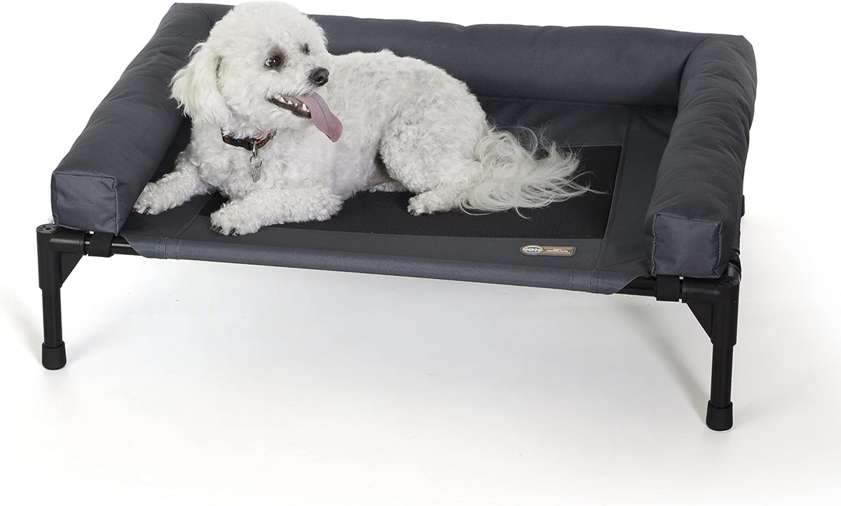 Small white curly dog lying on charcoal elevated pet cot with plush bolster, angled front view on white background