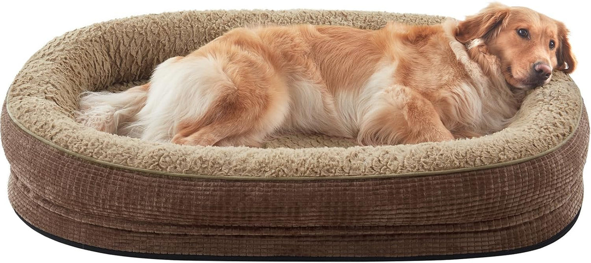 Oval two-tone brown plush dog bed with raised bolster, golden dog curled inside looking outward