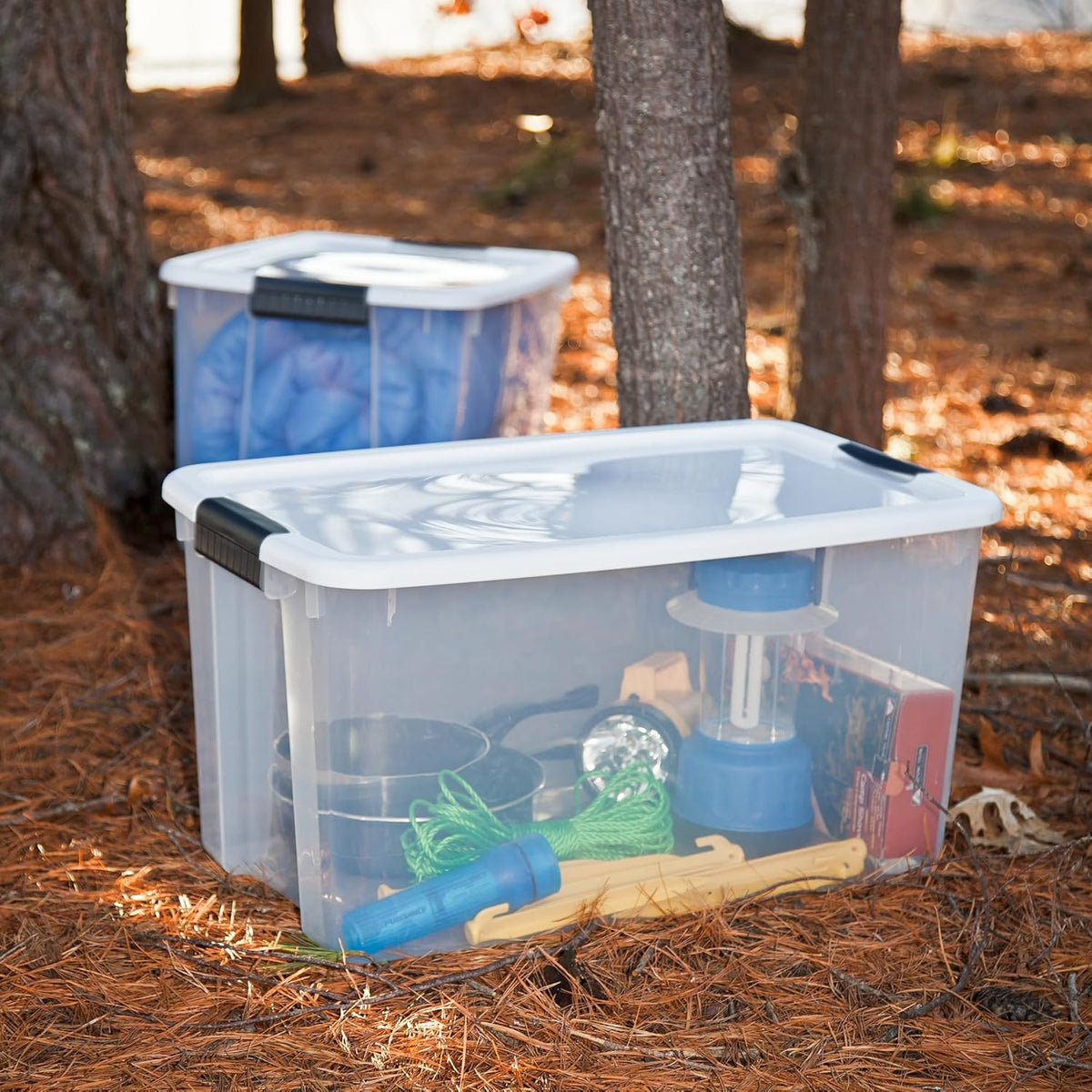 Clear storage boxes with white lids and black latches on forest floor holding camping gear