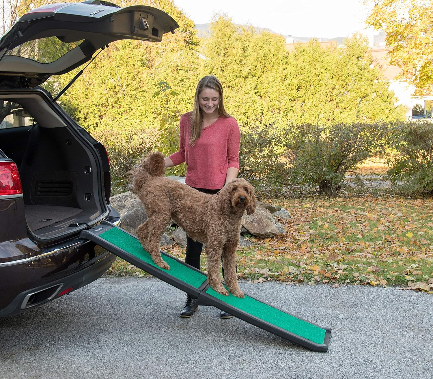 Dog standing on a green-carpeted bi-fold pet ramp leaning to the ground from an SUV in an outdoor setting