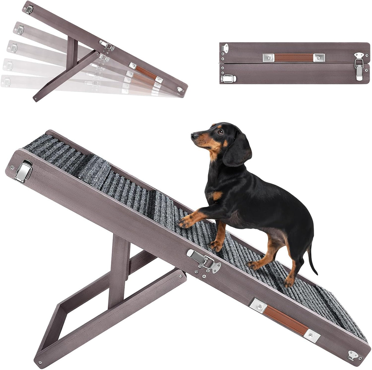 Angled brown pet ramp with a dachshund ascending; inset folded top view and faded multiple-leg positions.