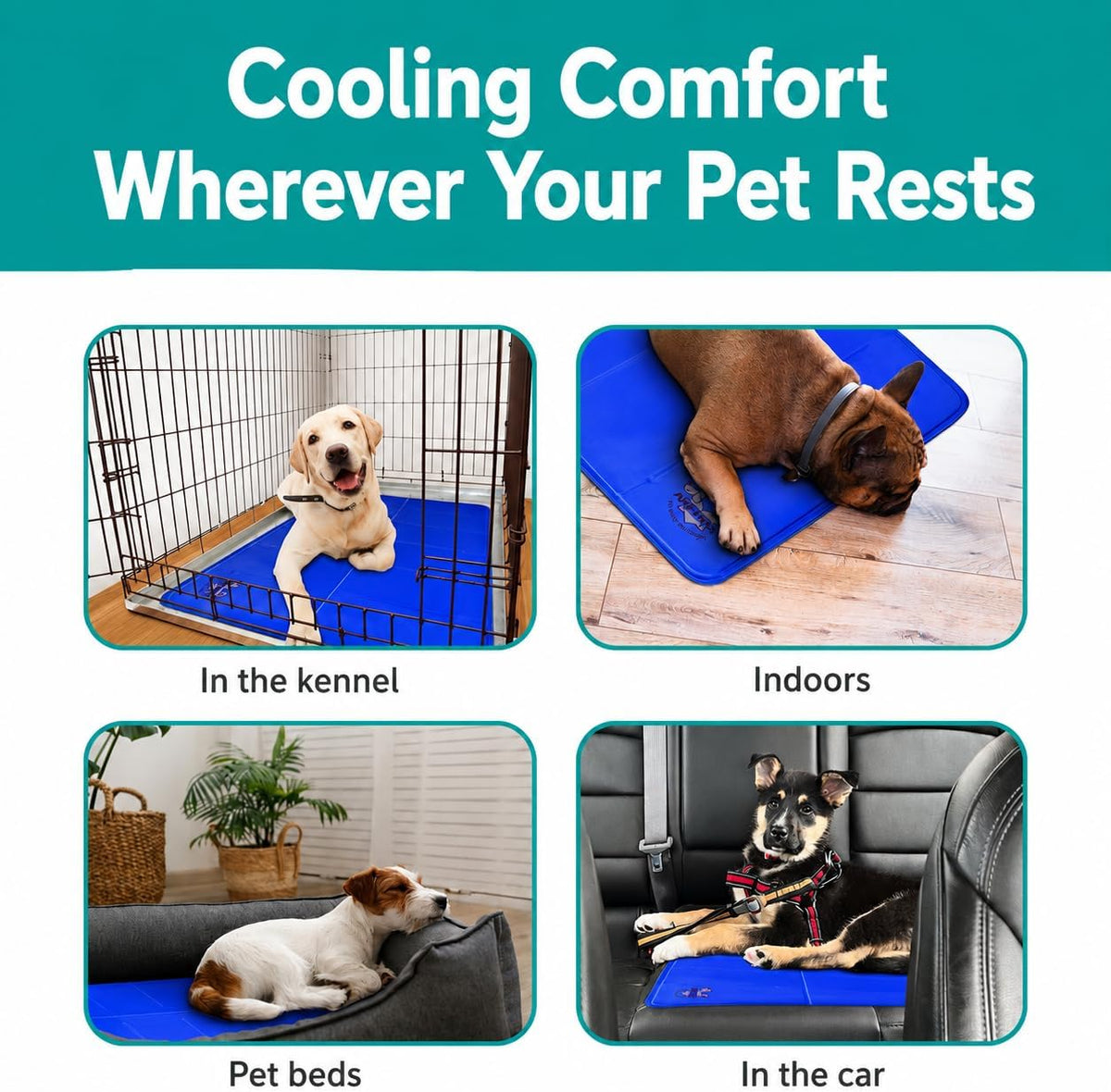 Four-panel collage showing the blue cooling mat used in a kennel, on a floor, inside a pet bed, and on a car seat with