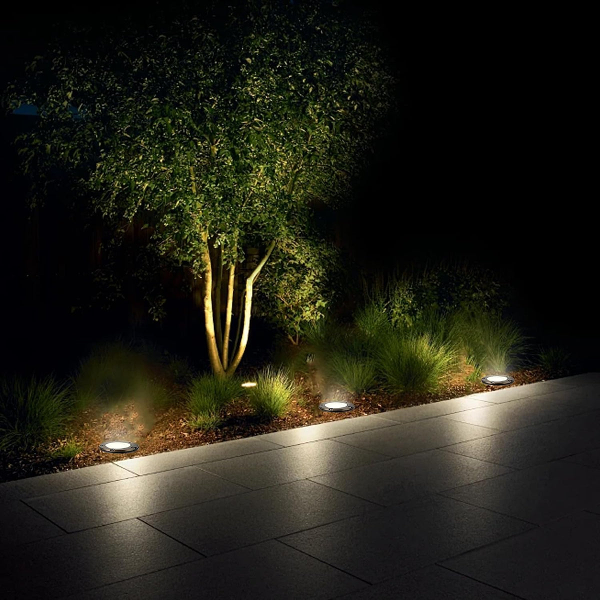 Wide night view of three flush-mounted ground lights casting warm pools of light along a planting bed and paved path.