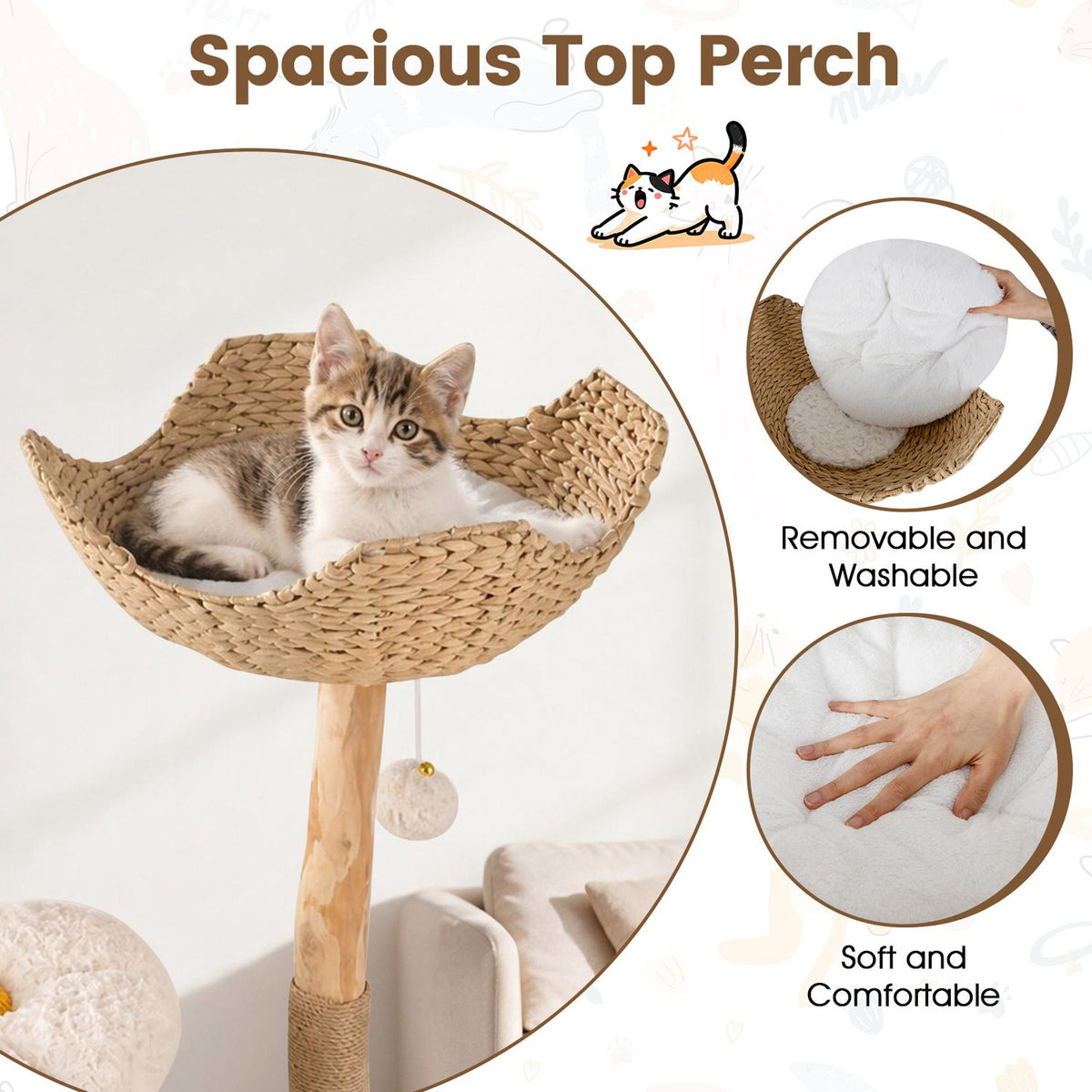 A kitten sits in the woven top perch, with inset views of a removable cushion and soft plush surface.
