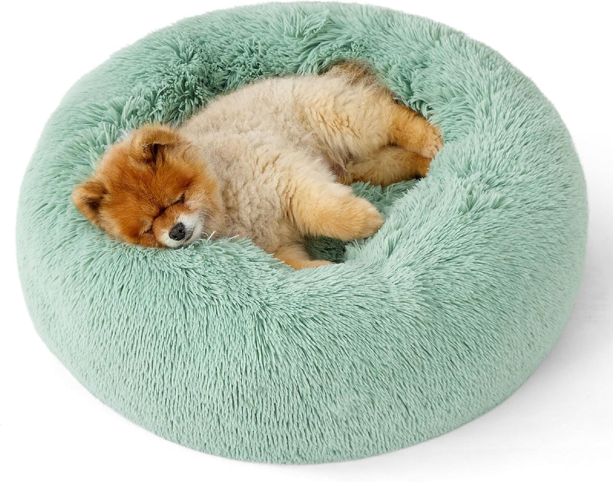 Top-side view of a mint-green fluffy donut bed with a small Pomeranian curled up asleep.