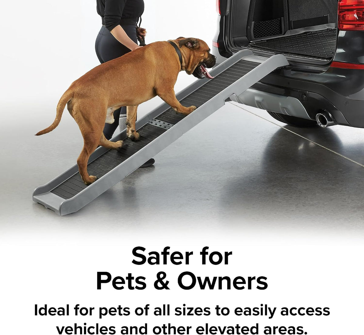 Large dog walking up a pet ramp into a vehicle with a handler standing nearby on a smooth garage floor