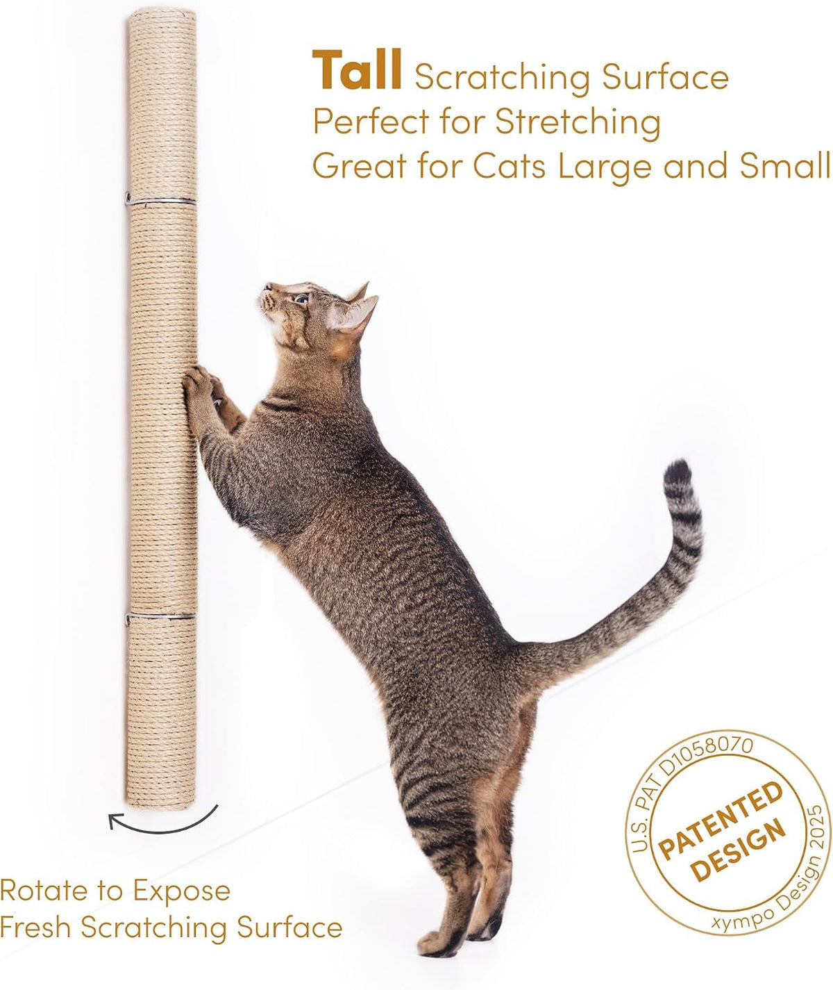 Single tabby cat stretching up on hind legs to scratch a tall wall-mounted sisal post, illustrating rotation access.