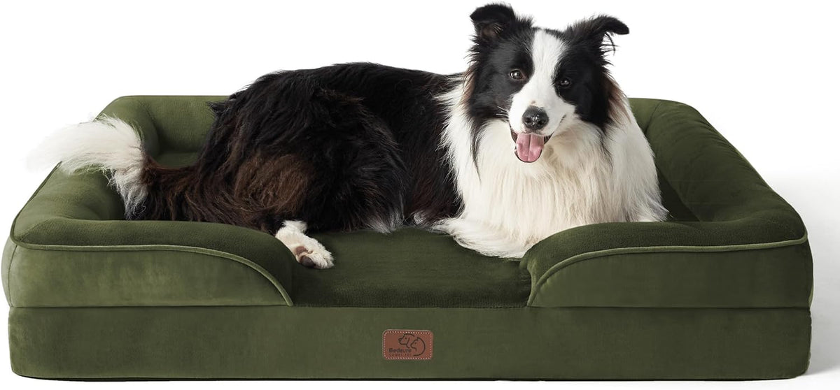 Front view of an olive green bolstered dog bed with a black-and-white dog lying inside, white background