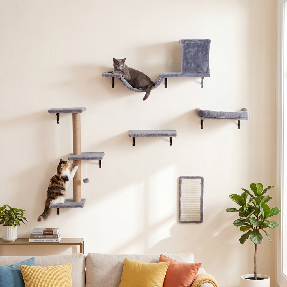 Gray cat wall shelves and scratching post arranged above a sofa, with two cats climbing and lounging.