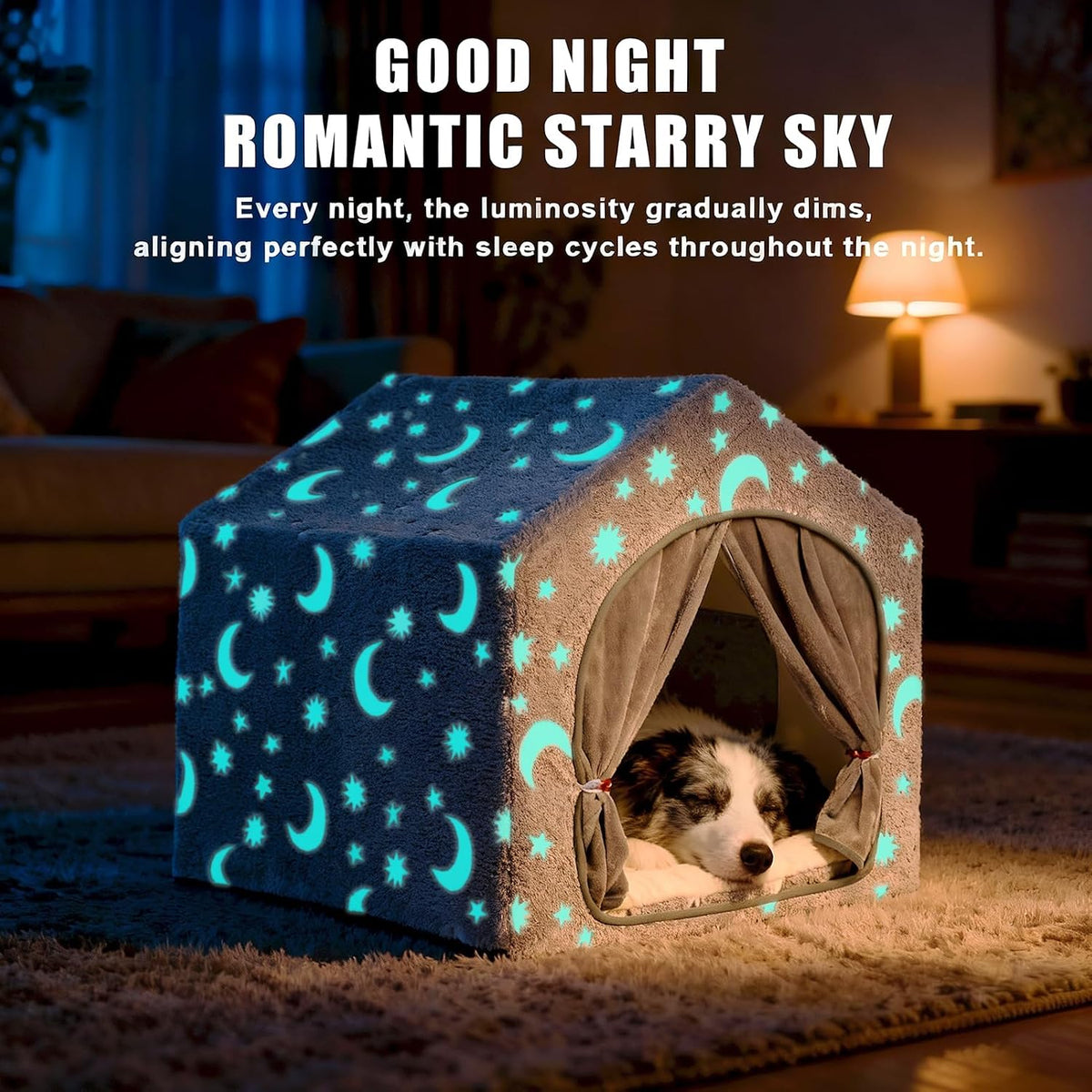 Dog sleeping inside the grey house with glowing moon-and-star pattern visible across the exterior at night