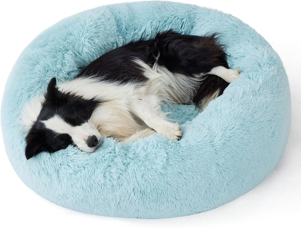 Top-side view of a light blue faux-fur donut dog bed with a black-and-white longhaired dog curled up sleeping.