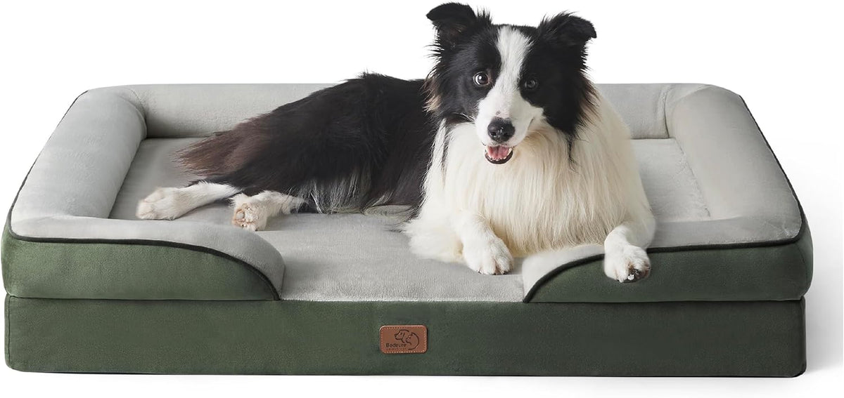 Green exterior bolstered dog bed with light-gray sleeping surface and a black-and-white dog resting with paws over the front