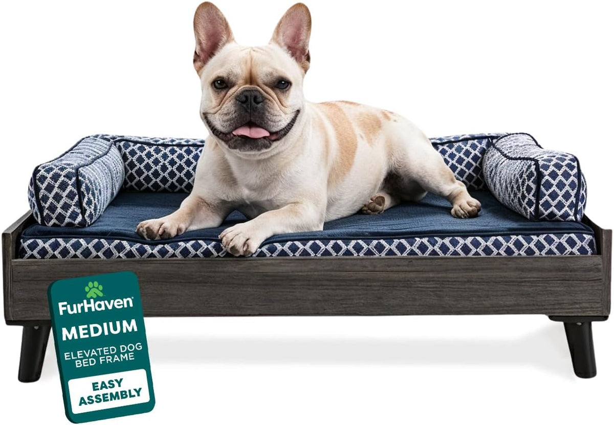 Gray-wash veneer elevated dog bed front view with small tan dog on blue patterned mattress