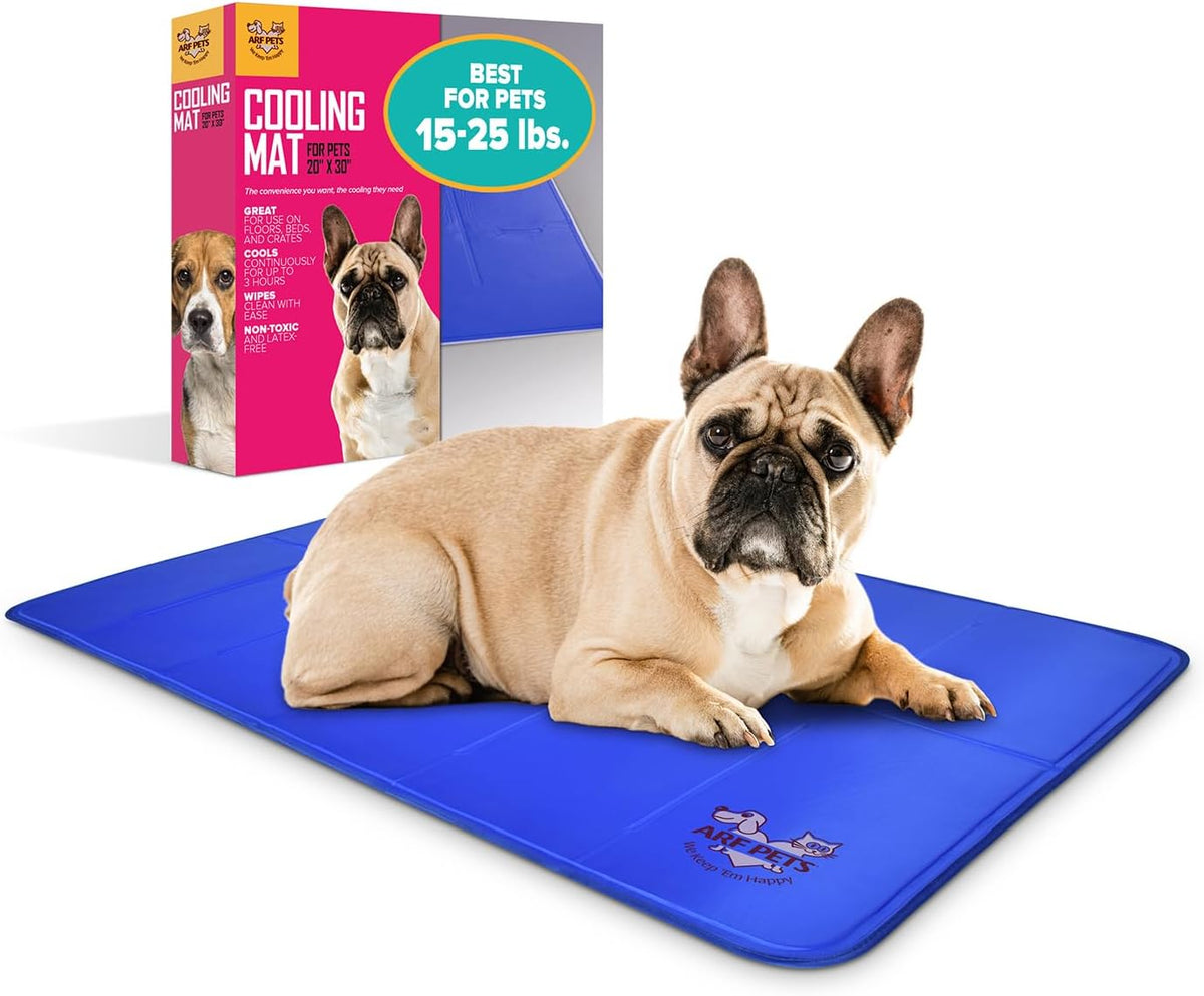 Fawn French bulldog lying on a bright blue cooling mat with product box in the background