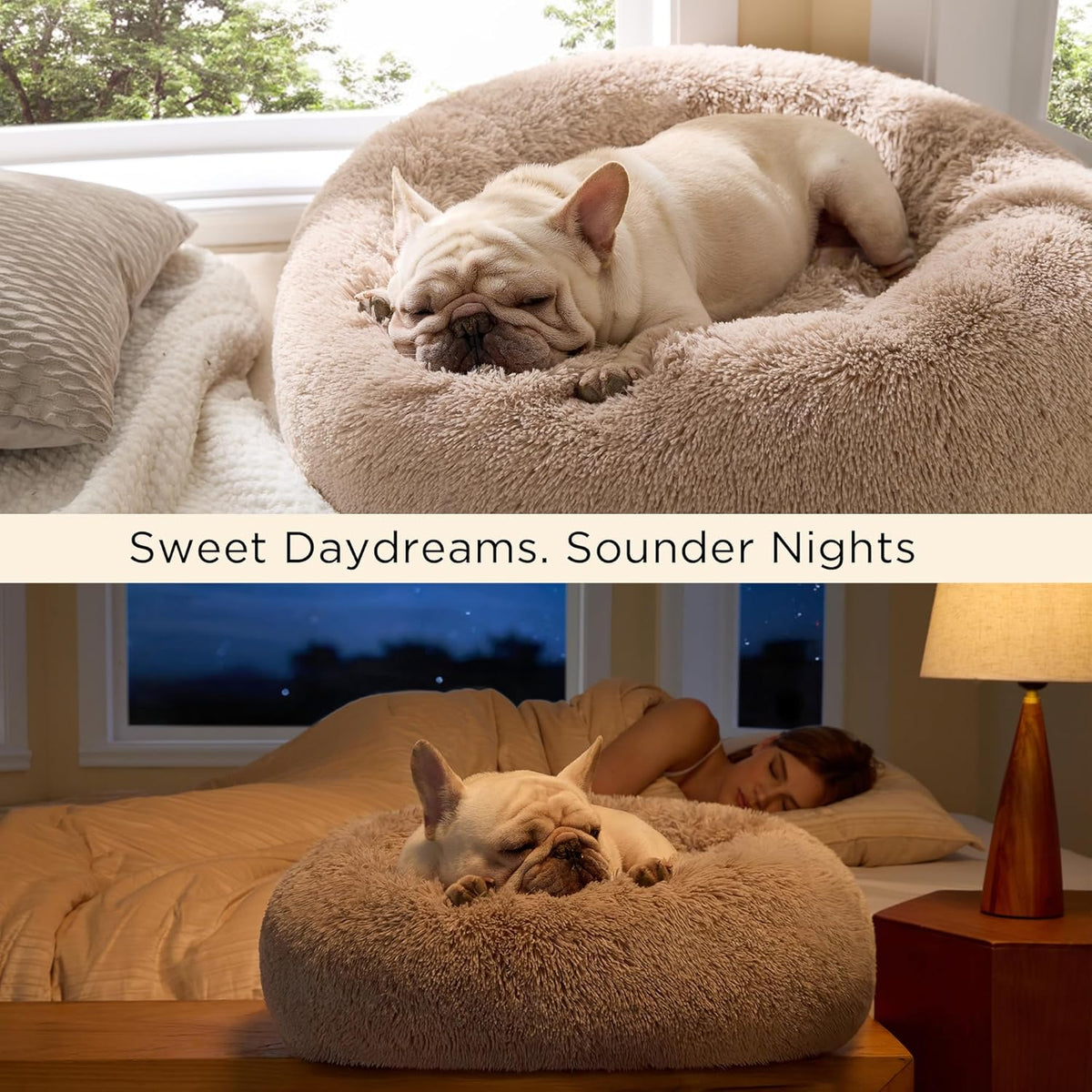 Tan donut pet bed on a bedside table with a sleeping bulldog and a person asleep in the background