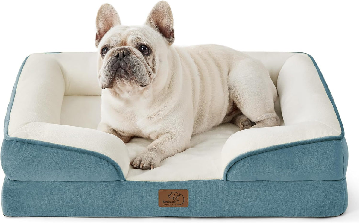 Cream-colored French bulldog resting in a teal outer/cream inner bolster dog bed.