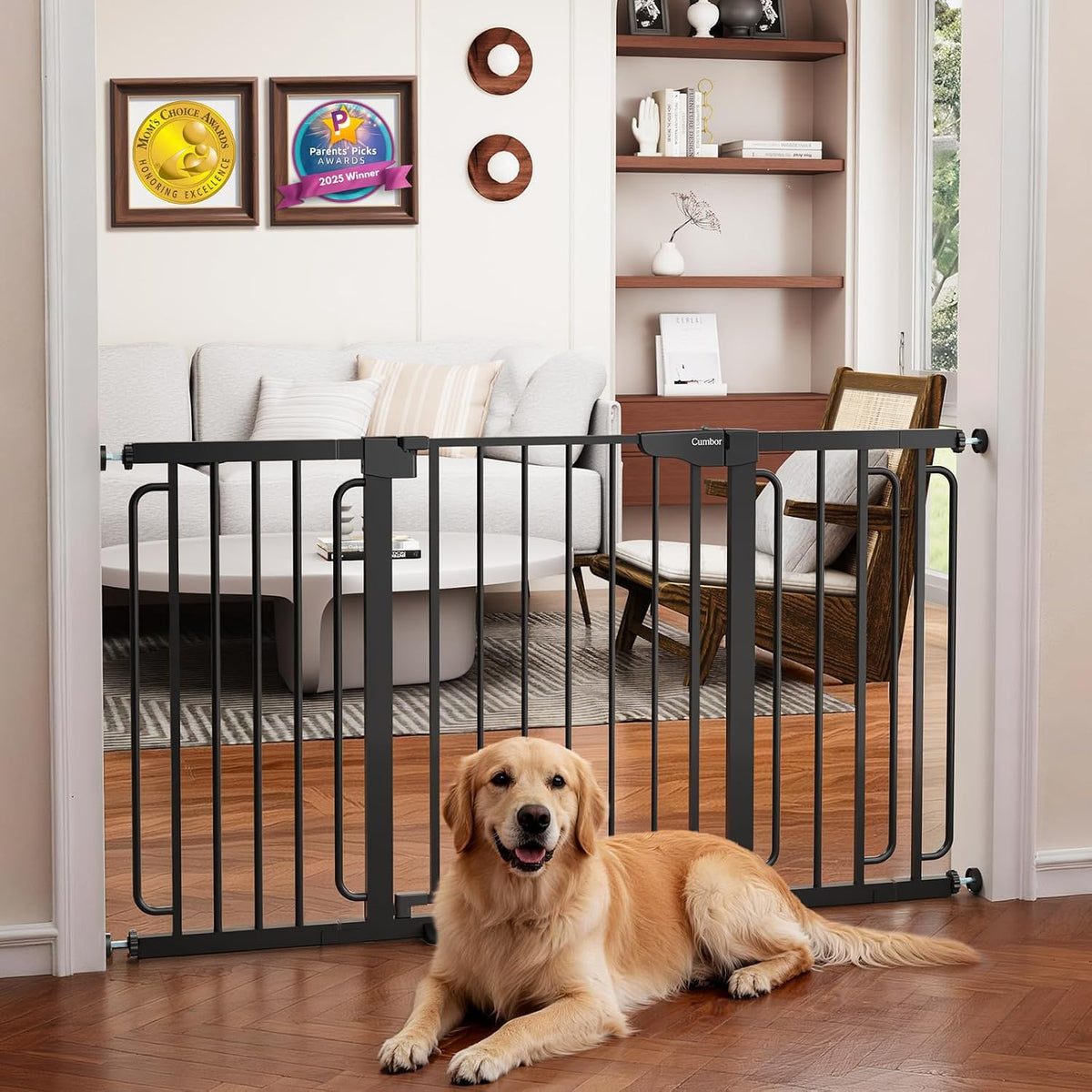 Black metal safety gate installed in a doorway with a golden retriever lying in front.