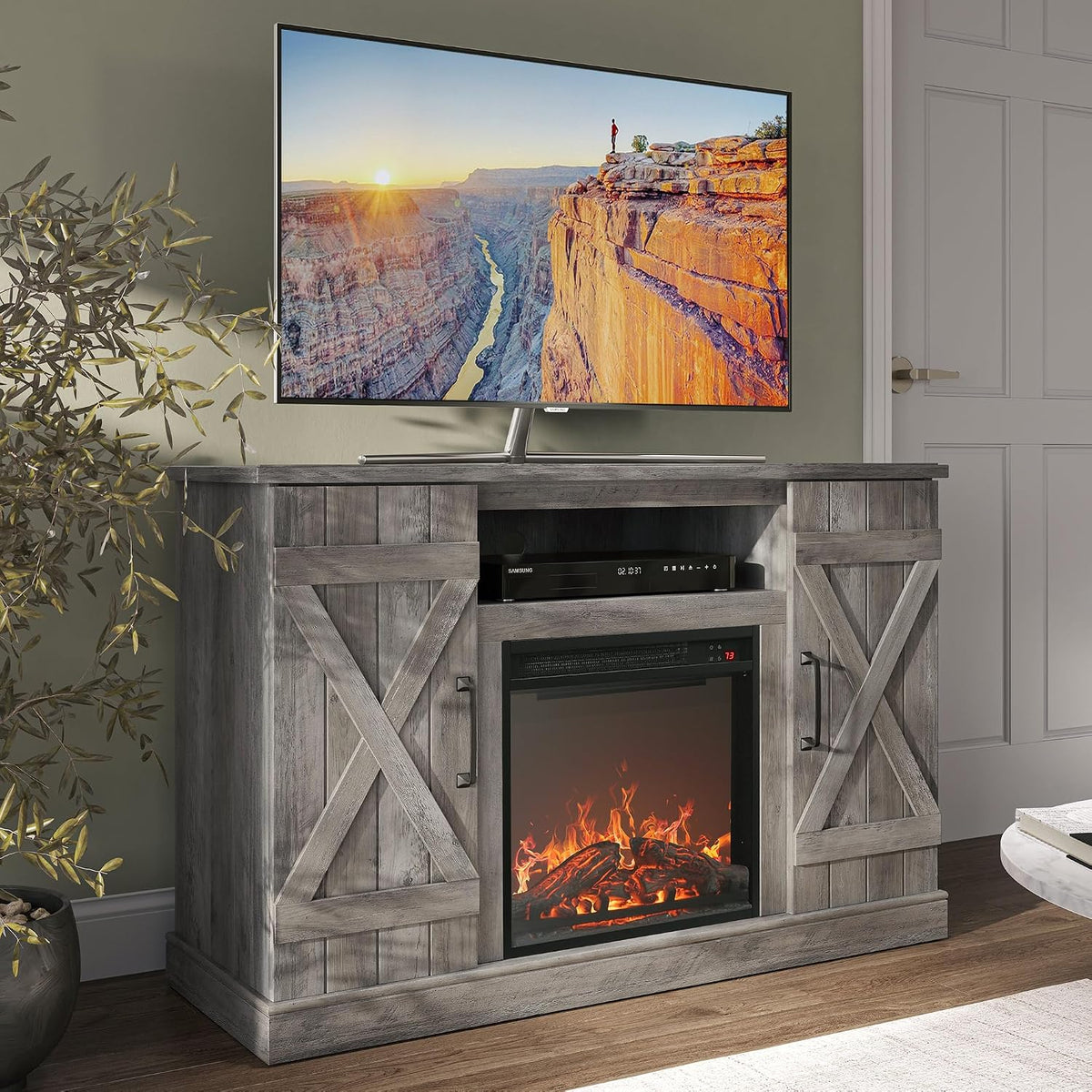 Styled room scene with the TV stand under a large flat-screen, plant to the left and a closed white door to the right.