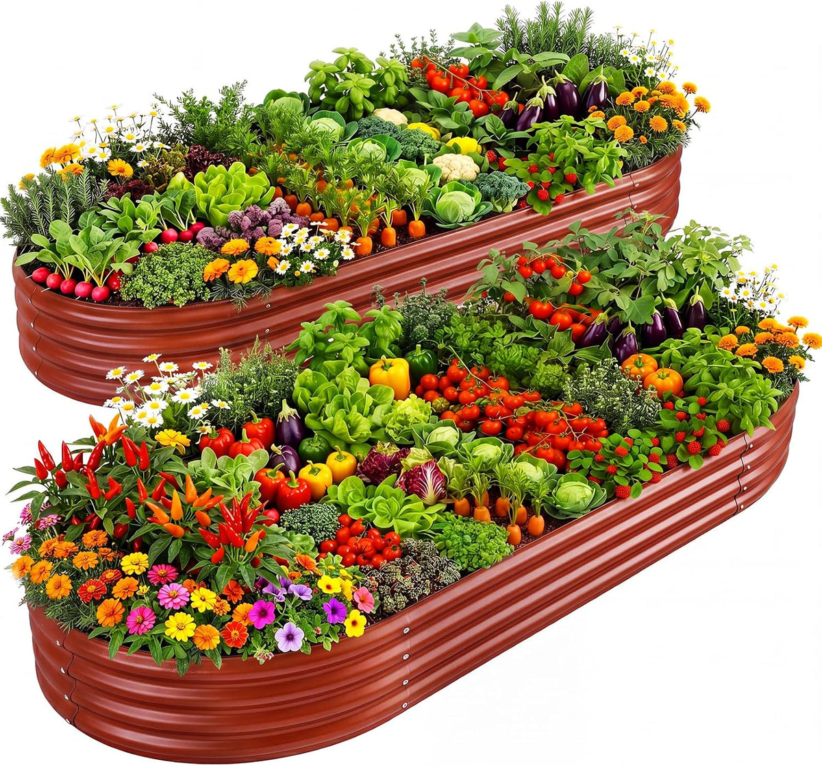 Two oval corrugated metal raised beds in reddish-brown filled with colorful vegetables and flowers
