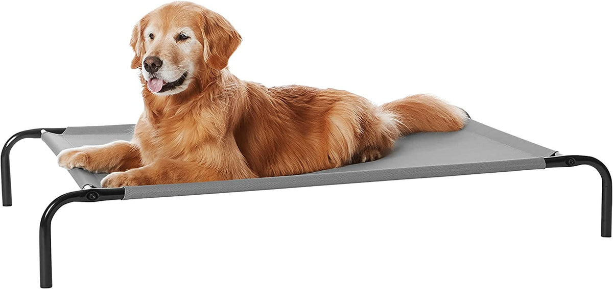 Golden retriever lying on a grey elevated pet bed showing mesh sleep surface and black iron frame at an angled front view