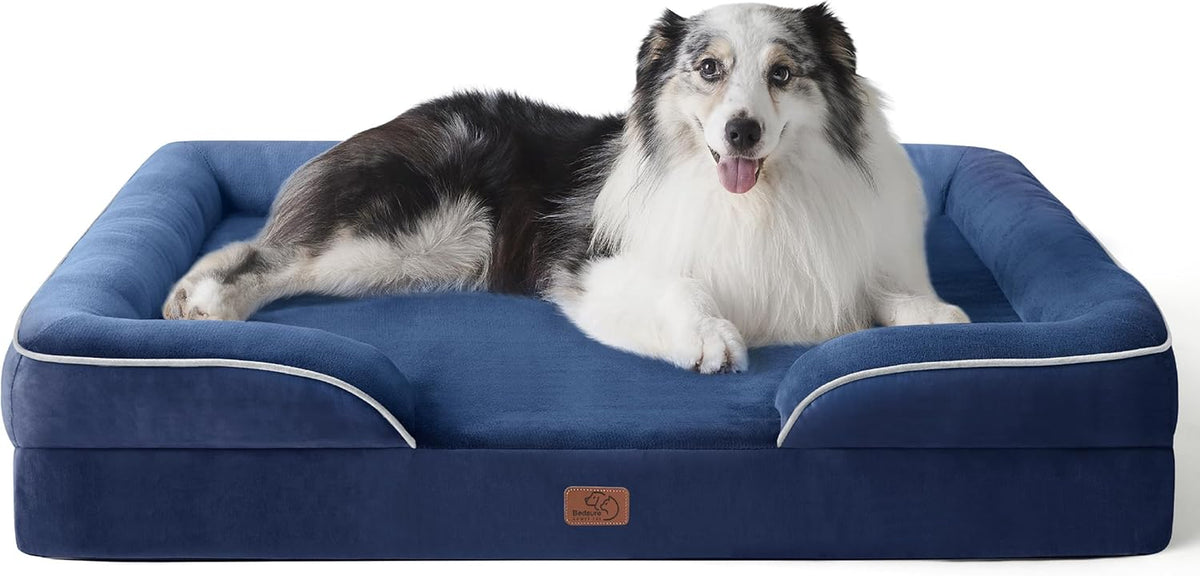 Front view of a deep blue rectangular bolstered bed with white piping and a large black-and-white dog reclining inside.