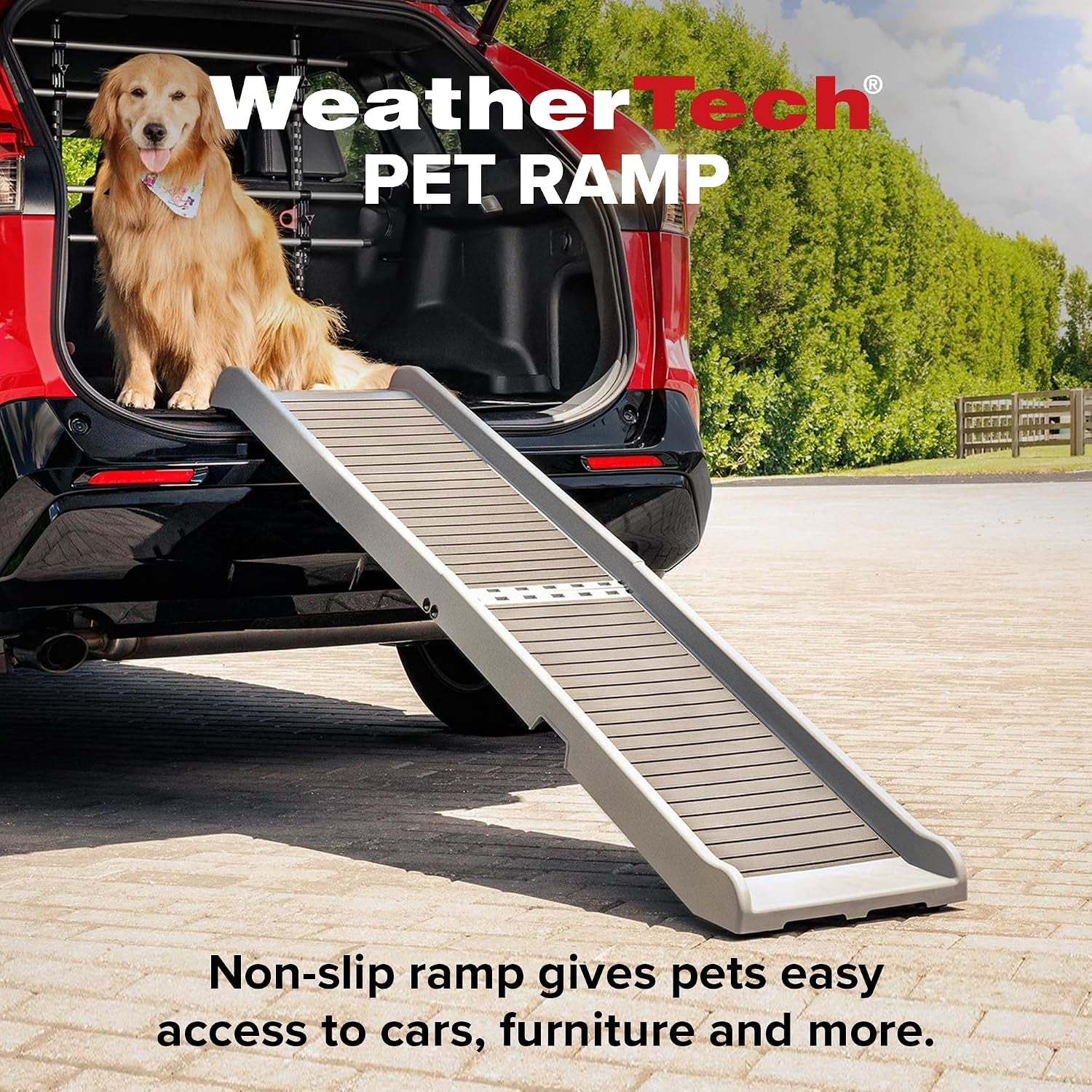 Pet ramp extended from a car trunk to the ground with a dog waiting at the cargo threshold in an outdoor setting