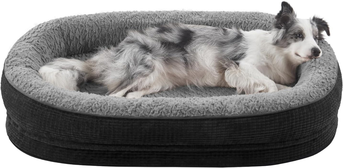 Gray oval dog bed with textured base and a long-haired dog curled against the raised rim