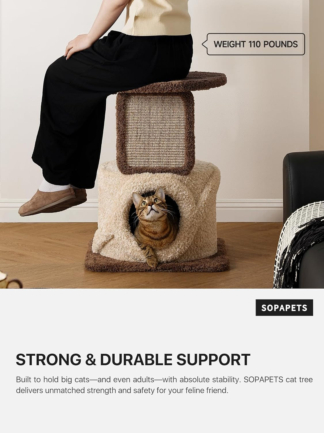 Person sitting on the upper platform above the condo with a cat inside, demonstrating sturdy support