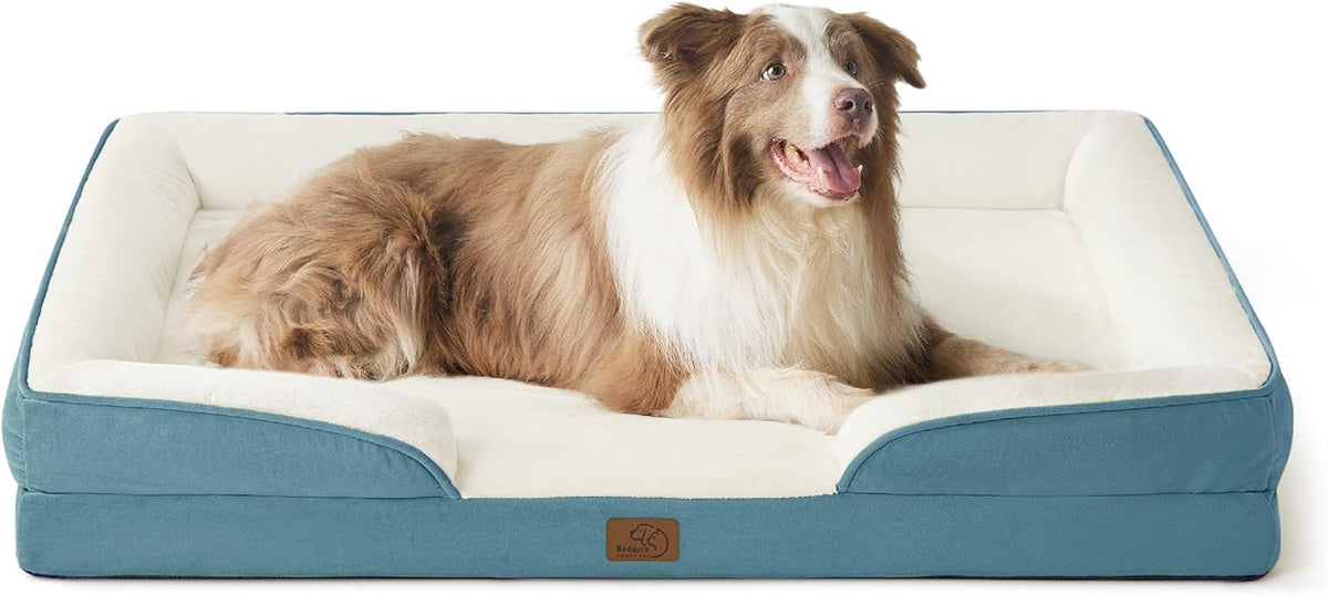 Brown-and-white long-haired dog lying in a teal dog bed with cream-colored interior