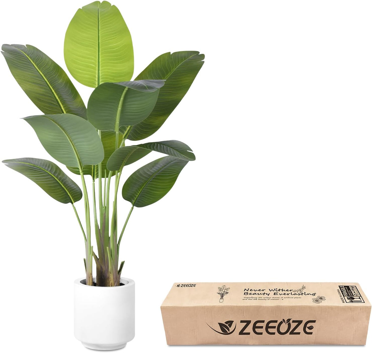 product and packaging — the plant in a white round pot positioned beside its long shipping box on a white background