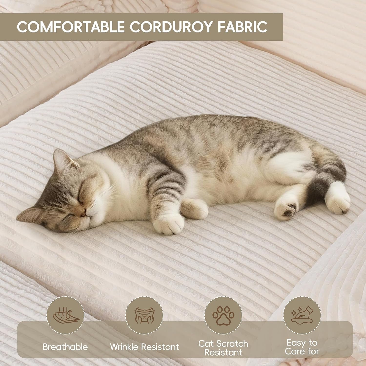 Close-up cream corduroy seat cushion with a sleeping cat showing textured ribbed fabric