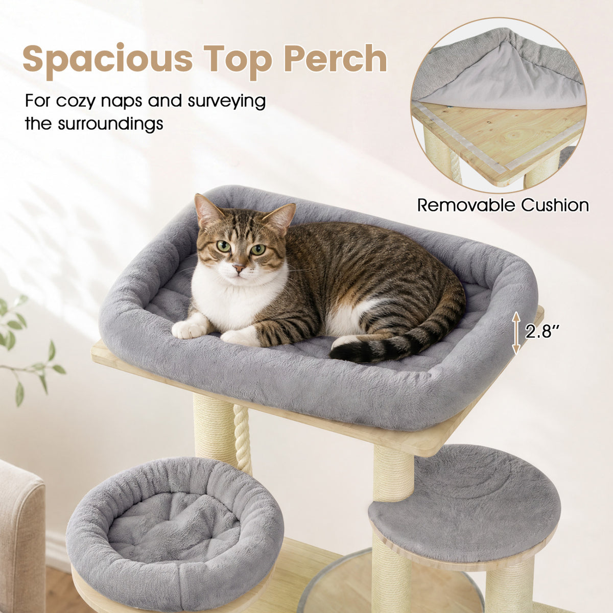 A cat rests in a cushioned top perch above the other platforms of a cat tree.