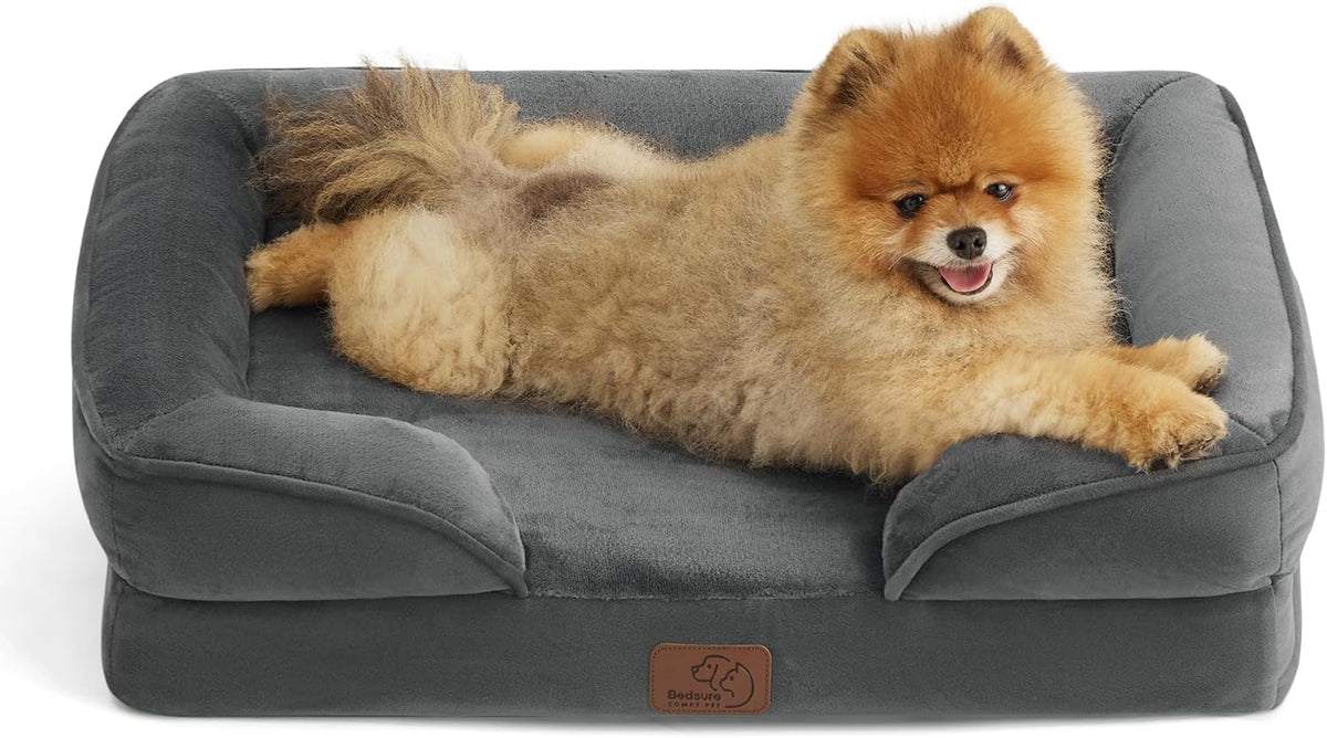 Charcoal gray bolstered bed seen from above with a small tan Pomeranian sprawled across the cushion, front-facing.