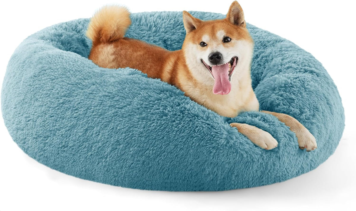 Blue round faux-fur donut dog bed with a tan dog lounging inside, white background