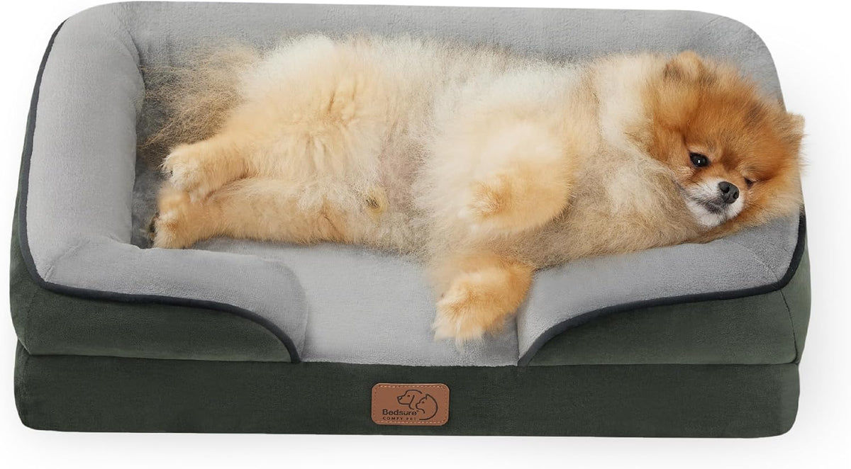Top-down view of a small fluffy Pomeranian lying on its back in a dark green bolster bed with gray interior.