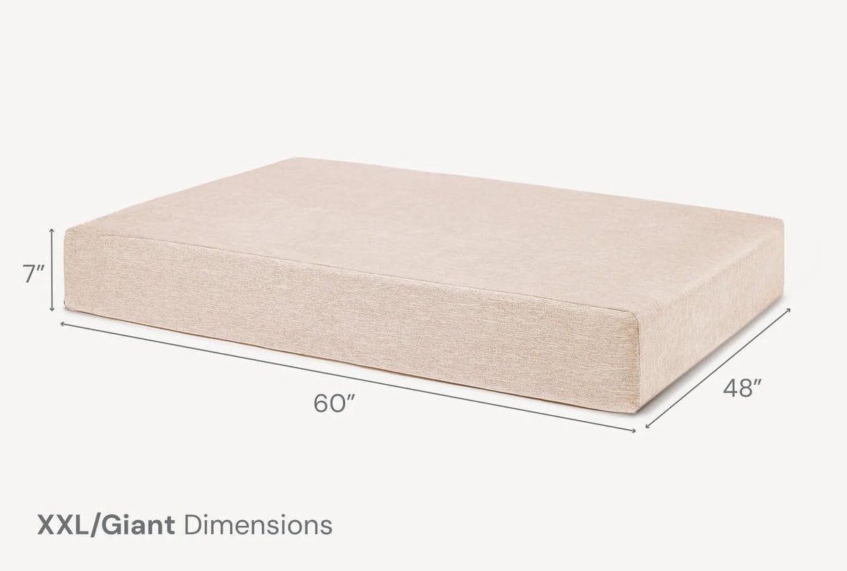 Beige dog bed displayed with labeled XXL/Giant dimensions showing 60" by 48" by 7" on a white background