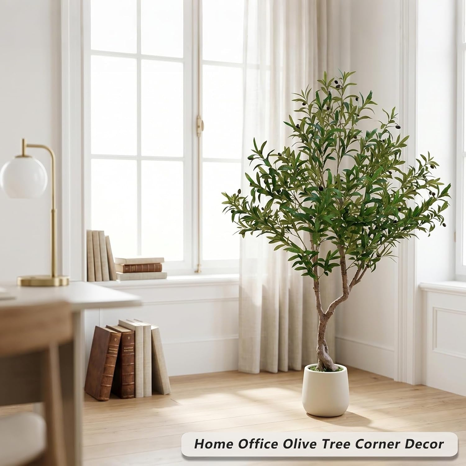 Potted olive tree with twisted trunk beside a bright window in a home office corner next to a desk lamp and stacked books.