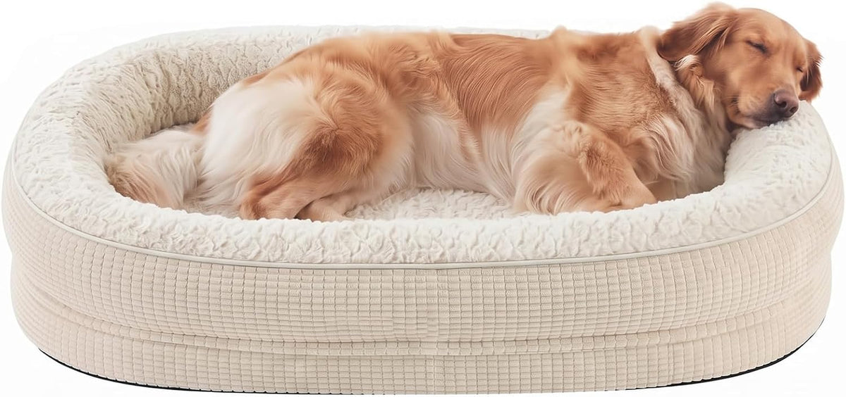 Cream oval bolstered dog bed with a golden retriever curled up asleep inside